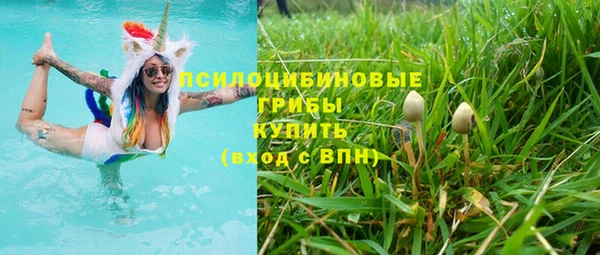 крисы Тольятти
