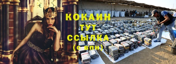 мяу мяу мука Санкт-Петербург