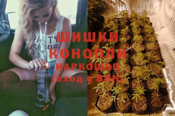 шишки Новосибирск